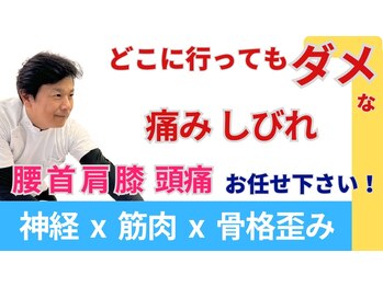 整体眞田流/辛い腰痛/足の痺れ/頭痛改善整体