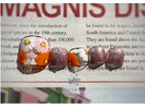 フラワーネイル☆