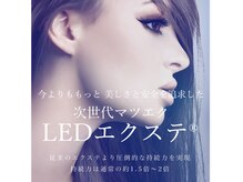 ラブリスタル(Loverystal)の雰囲気（LEDまつエク◎/パリジェンヌ/フラットラッシュ/カラーエクステ）