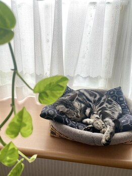 【足つぼ/よもぎ蒸し/オイルリンパ/腸もみ/ヘッドスパ】女性専用サロンPuana/ノエル