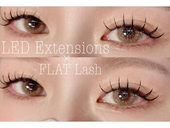 サロン ド シル(Salon de cils)/フラットラッシュ