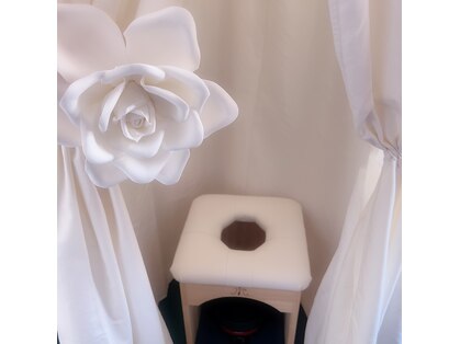 ポノ(Pono)の写真