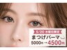 【5月20日限定】まつげカール4500円！