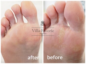 ヴィラファボリエ 白金台(Villa Favorie)/