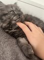 エルツ(Erz.)&nbsp;猫ちゃんと暮らしています♪