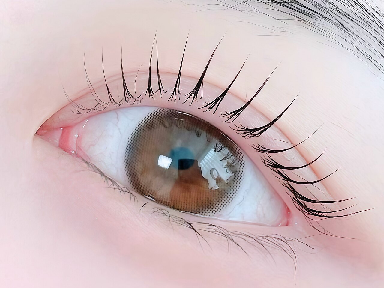 ใใใขใคใฉใใทใฅ ๆข
็ฐๅบ(natsuu eyelash)๏ฝใใใใใใใผ ใใใขใคใฉใใทใฅ ๆข
็ฐๅบ(natsuu eyelash)๏ฝใใใใใใใผ