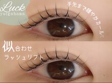 ラック 由比ヶ浜店(LUCK)