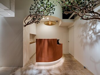 ブルーム 四条烏丸(bloom)/落ち着いた雰囲気の店内◎