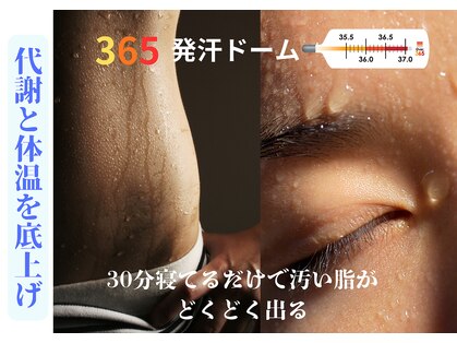オーバーサンロクゴ 茅野店(OVER365)の写真