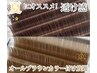 夏にオススメ！透け感★☆オールブラウンカラー付け放題　￥8800