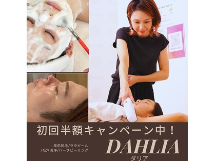 ダリア 瑞穂(DAHLIA)の写真