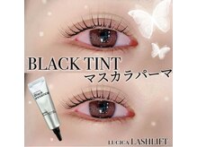 ルシカ(LUCICA)/マスカラパーマ【カミヤ】