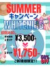 サマーキャンペーン【お試し半額！！】