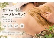 かぎしっぽ/