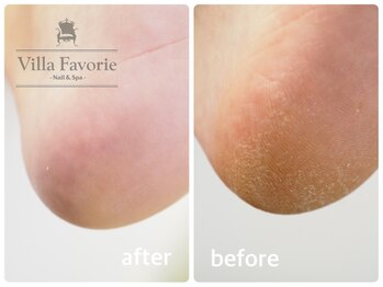 ヴィラファボリエ 白金台(Villa Favorie)/