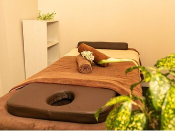 チェリー(Cherry)/