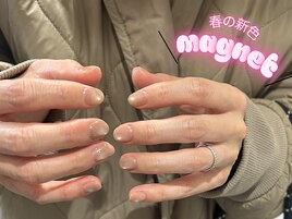 マグネットワンカラー