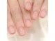 エルヴィア(ELVIA)の写真