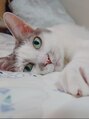 アイマジックピュア 一番町店(EYE MAJIC pure)&nbsp;猫を飼っています。大好きです