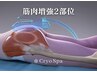 【追加★筋肉増強】2padまで※脂肪冷却またはハイパーSDを同日に行う方対象