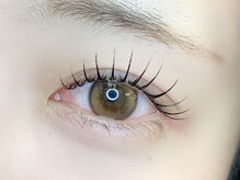 オアラテ 仙台店(or LATTe)/パリエク｜120本　Dカールタレ目