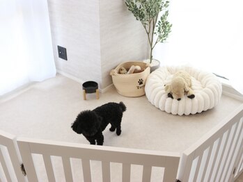 eyesalon wag【眉毛アイブロウ/まつげパーマ】の写真/【中崎町駅徒歩7分】居心地の良い空間と丁寧なカウンセリングで、理想の目元へ★ペット同伴も◎