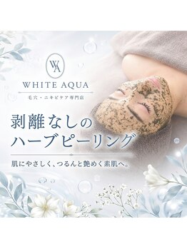 ホワイトアクア 柏店(WHITE AQUA)の写真/【本気の肌質改善☆毛穴/ニキビケアはお任せください】ハーブピーリング/ララピールで理想のツルスベ肌へ♪