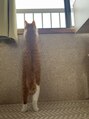 ラポール(Rapport)&nbsp;猫、犬　動物好きです。