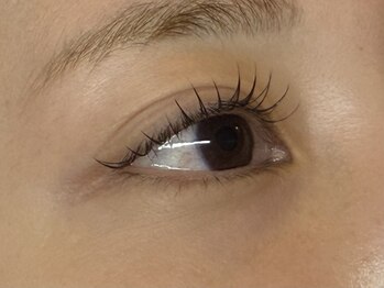 アポロランド ルーナ/フラットラッシュ100本