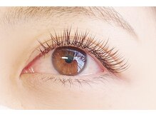 ジョリレーヌ(Jolie Reine)/フラットラッシュカラー140本