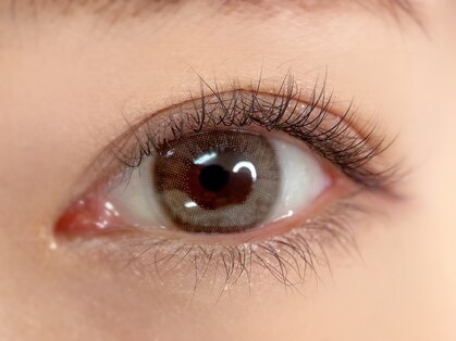 ククナ(Kukuna)の写真