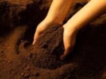 椿 天王寺店(TSUBAKI)/酵素風呂/よもぎ蒸し/水素吸入