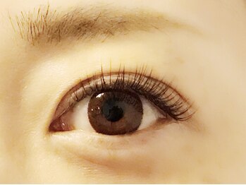 アイデザイン カール(eyedesign Curl)/