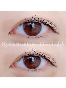 ダリア(DAHLIA)/パリジェンヌラッシュリフト