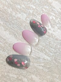 定額Ｂコース