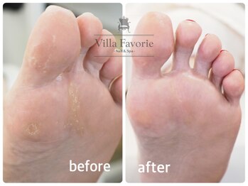 ヴィラファボリエ 白金台(Villa Favorie)/