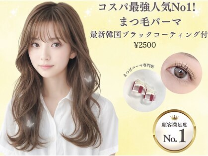 ノエル(Noel)の写真