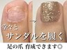 土曜日限定【フット育成・フットケア】お悩み解決 ワンカラー ホームケア付