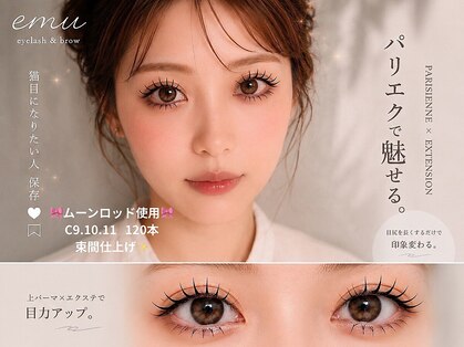 エミュー(emu)の写真