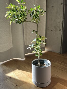 ヒュール 千石(huul)/店内