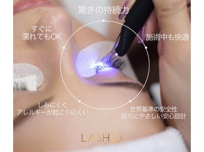 リノ(ino)の写真