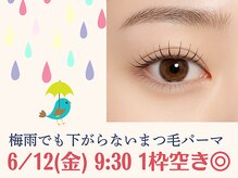 ストライプ 志木店