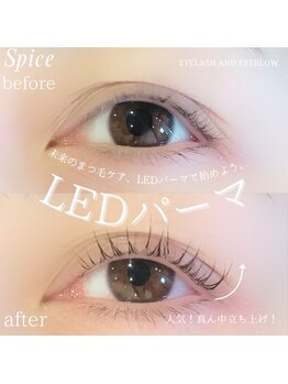スパイス 梅田茶屋町店(Spice)/LEDパーマ
