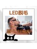 【メンズ】LED脱毛顔・ヒゲ ¥6,000→¥5,000