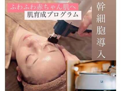 テラ(terra.)の写真