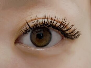 ラズリー MEGAドン・キホーテ成増店(lazley)/フラットラッシュ