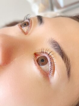 プルティティア(Pultitia)/lashlift