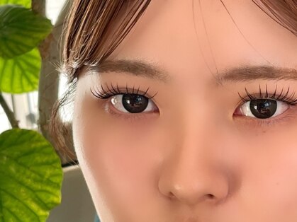 シャモウ(chameau)の写真