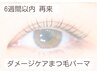 【6週間以内来店】ダメージケア上まつげパーマ ¥7000→¥6000