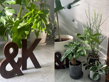 アンドケー(&K)/